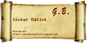 Ginter Bálint névjegykártya